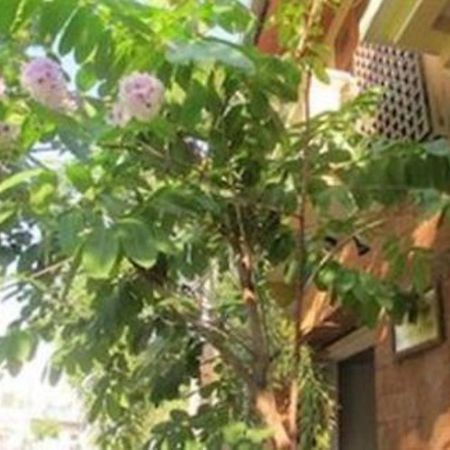 Kambuja Inn 金边 外观 照片